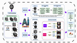 AI-BLADE toolbox: AI-powered BLADdEr multiparametric MRI analysis for clinical application
